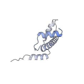 13383_7pfx_K_v1-0
Nucleosome 3 of the 4x207 nucleosome array containing H1