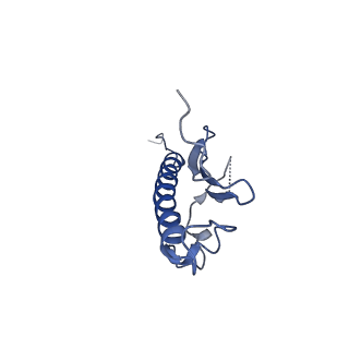 17645_8pfb_E_v1-0
Structure of a heteropolymeric type 4 pilus from a monoderm bacterium