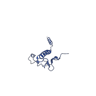 17645_8pfb_I_v1-0
Structure of a heteropolymeric type 4 pilus from a monoderm bacterium