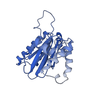 13389_7pg9_A_v1-1
human 20S proteasome