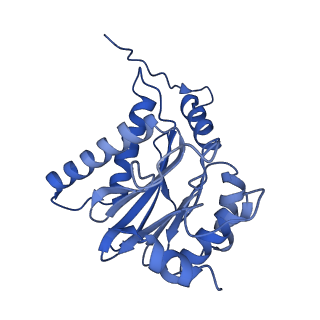 13389_7pg9_B_v1-1
human 20S proteasome