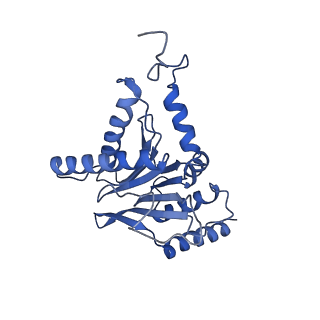13389_7pg9_C_v1-1
human 20S proteasome