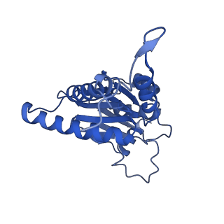 13389_7pg9_D_v1-1
human 20S proteasome