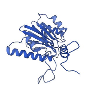 13389_7pg9_E_v1-1
human 20S proteasome