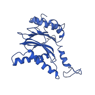 13389_7pg9_F_v1-1
human 20S proteasome