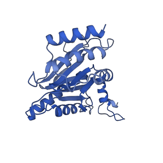 13389_7pg9_G_v1-1
human 20S proteasome