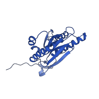 13389_7pg9_H_v1-1
human 20S proteasome