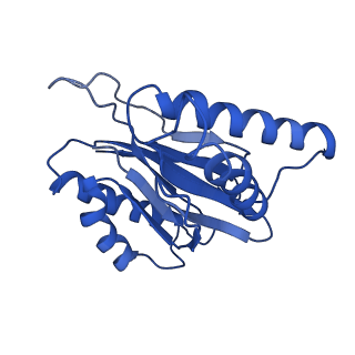 13389_7pg9_K_v1-1
human 20S proteasome