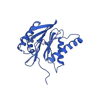 13389_7pg9_M_v1-1
human 20S proteasome