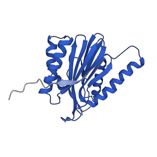 13389_7pg9_N_v1-1
human 20S proteasome
