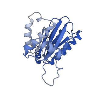 13389_7pg9_O_v1-1
human 20S proteasome