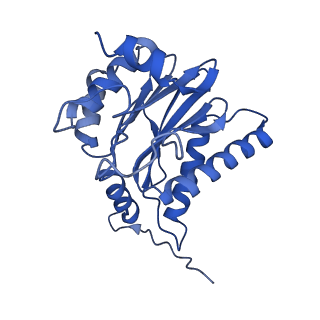 13389_7pg9_P_v1-1
human 20S proteasome