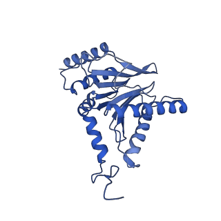13389_7pg9_Q_v1-1
human 20S proteasome