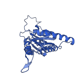 13389_7pg9_R_v1-1
human 20S proteasome