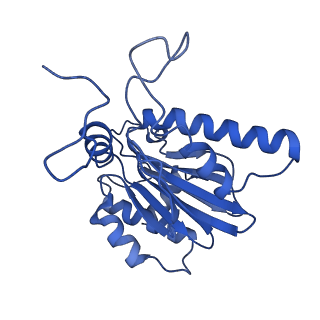 13389_7pg9_S_v1-1
human 20S proteasome