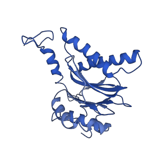 13389_7pg9_T_v1-1
human 20S proteasome
