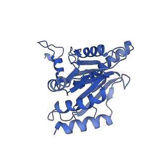 13389_7pg9_U_v1-1
human 20S proteasome