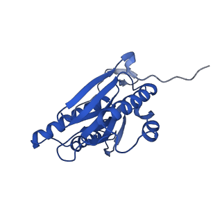 13389_7pg9_V_v1-1
human 20S proteasome