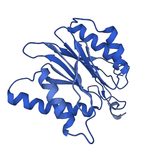 13389_7pg9_X_v1-1
human 20S proteasome