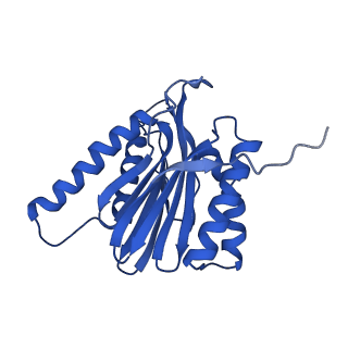 13389_7pg9_b_v1-1
human 20S proteasome