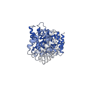 13392_7pgq_N_v1-0
GAP-SecPH region of human neurofibromin isoform 2 in closed conformation.