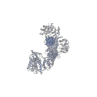 13395_7pgt_N_v1-1
The structure of human neurofibromin isoform 2 in opened conformation.
