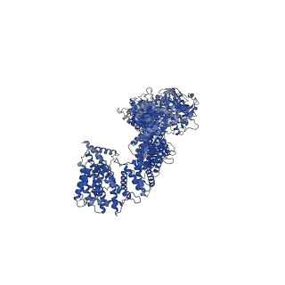 13396_7pgu_N_v1-1
Autoinhibited structure of human neurofibromin isoform 2 stabilized by Zinc.