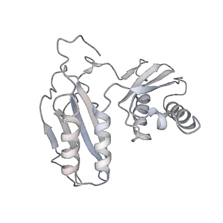 13412_7phb_B_v1-2
70S ribosome with A- and P-site tRNAs in chloramphenicol-treated Mycoplasma pneumoniae cells