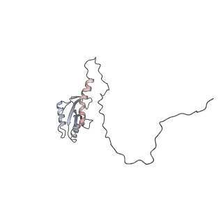 13412_7phb_E_v1-2
70S ribosome with A- and P-site tRNAs in chloramphenicol-treated Mycoplasma pneumoniae cells