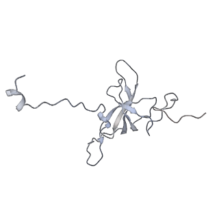 13412_7phb_K_v1-2
70S ribosome with A- and P-site tRNAs in chloramphenicol-treated Mycoplasma pneumoniae cells