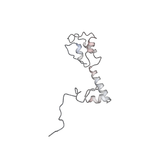 13412_7phb_L_v1-2
70S ribosome with A- and P-site tRNAs in chloramphenicol-treated Mycoplasma pneumoniae cells