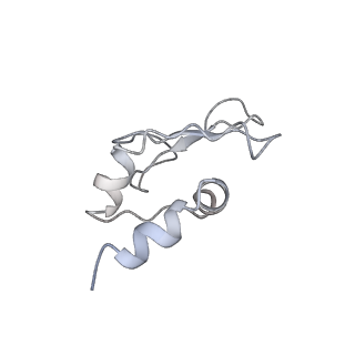 13412_7phb_O_v1-2
70S ribosome with A- and P-site tRNAs in chloramphenicol-treated Mycoplasma pneumoniae cells