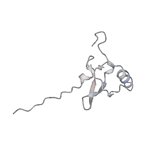 13412_7phb_R_v1-2
70S ribosome with A- and P-site tRNAs in chloramphenicol-treated Mycoplasma pneumoniae cells