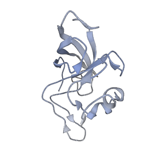 13412_7phb_j_v1-2
70S ribosome with A- and P-site tRNAs in chloramphenicol-treated Mycoplasma pneumoniae cells