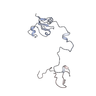13412_7phb_k_v1-2
70S ribosome with A- and P-site tRNAs in chloramphenicol-treated Mycoplasma pneumoniae cells