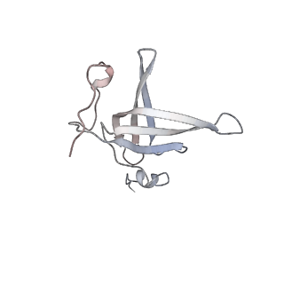 13412_7phb_o_v1-2
70S ribosome with A- and P-site tRNAs in chloramphenicol-treated Mycoplasma pneumoniae cells