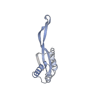 13412_7phb_r_v1-2
70S ribosome with A- and P-site tRNAs in chloramphenicol-treated Mycoplasma pneumoniae cells