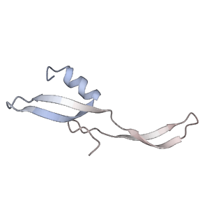 13412_7phb_v_v1-2
70S ribosome with A- and P-site tRNAs in chloramphenicol-treated Mycoplasma pneumoniae cells