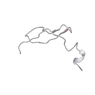 13412_7phb_x_v1-2
70S ribosome with A- and P-site tRNAs in chloramphenicol-treated Mycoplasma pneumoniae cells