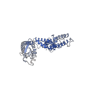 13417_7phi_A_v1-1
Human voltage-gated potassium channel Kv3.1 (with Zn)