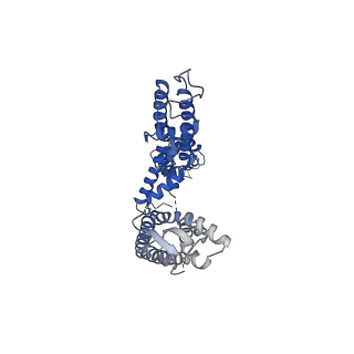 13418_7phk_A_v1-1
Human voltage-gated potassium channel Kv3.1 in dimeric state (with Zn)
