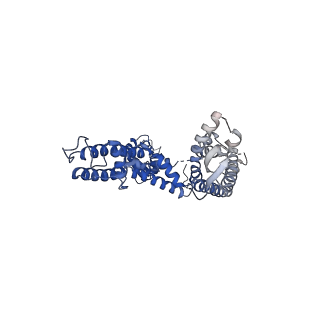 13418_7phk_B_v1-1
Human voltage-gated potassium channel Kv3.1 in dimeric state (with Zn)
