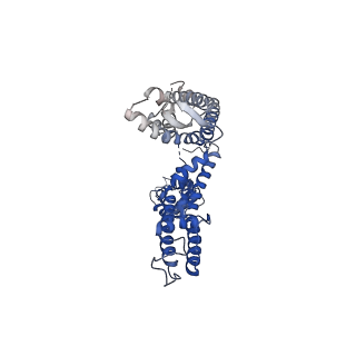 13418_7phk_C_v1-1
Human voltage-gated potassium channel Kv3.1 in dimeric state (with Zn)