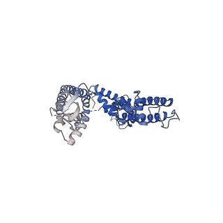 13418_7phk_D_v1-1
Human voltage-gated potassium channel Kv3.1 in dimeric state (with Zn)
