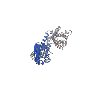 13418_7phk_F_v1-1
Human voltage-gated potassium channel Kv3.1 in dimeric state (with Zn)