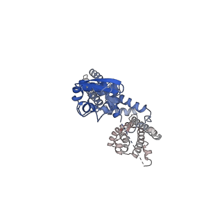 13418_7phk_G_v1-1
Human voltage-gated potassium channel Kv3.1 in dimeric state (with Zn)