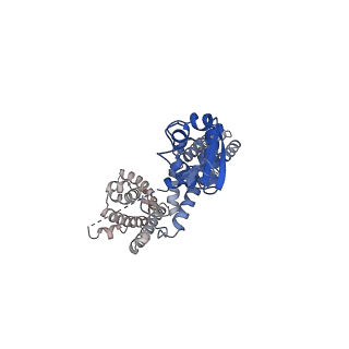 13418_7phk_H_v1-1
Human voltage-gated potassium channel Kv3.1 in dimeric state (with Zn)