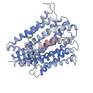 13424_7php_A_v1-2
Structure of Multidrug and Toxin Compound Extrusion (MATE) transporter NorM by NabFab-fiducial assisted cryo-EM