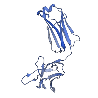 13424_7php_L_v1-2
Structure of Multidrug and Toxin Compound Extrusion (MATE) transporter NorM by NabFab-fiducial assisted cryo-EM