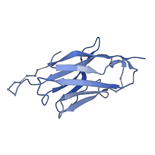 13424_7php_N_v1-2
Structure of Multidrug and Toxin Compound Extrusion (MATE) transporter NorM by NabFab-fiducial assisted cryo-EM